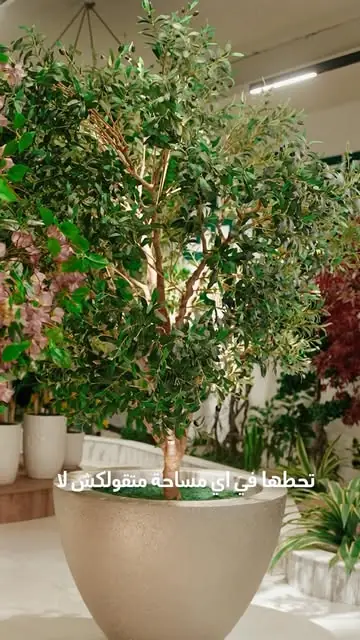 منشور من حساب البيت الأخضر على إنستغرام