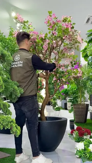 منشور من حساب البيت الأخضر على إنستغرام